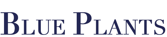 logo2