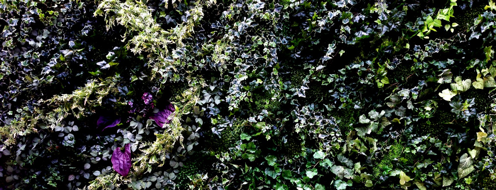 cropped-cover_s2-2.jpg