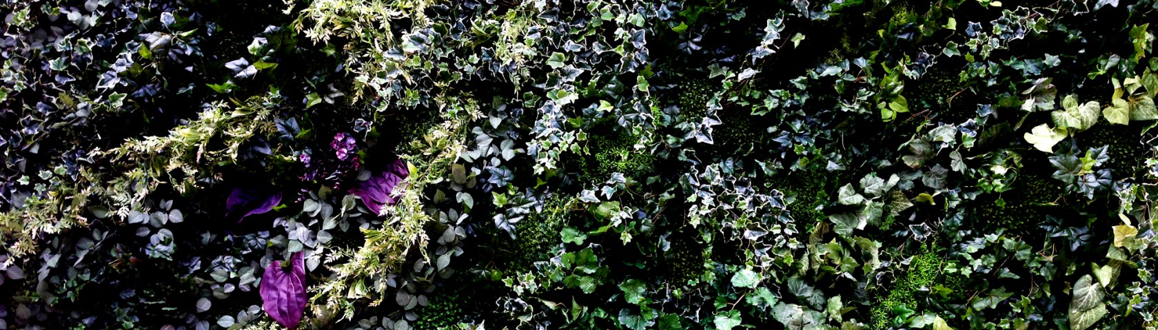 cropped-cover_s2-3.jpg