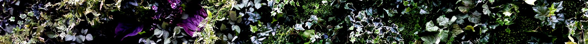 cropped-cover_s2-4.jpg