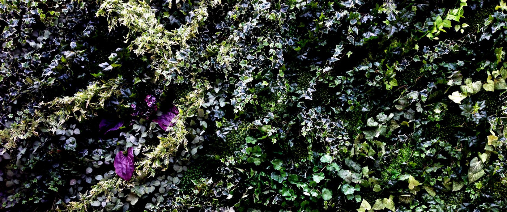 cropped-cropped-cover_s2-1-1.jpg