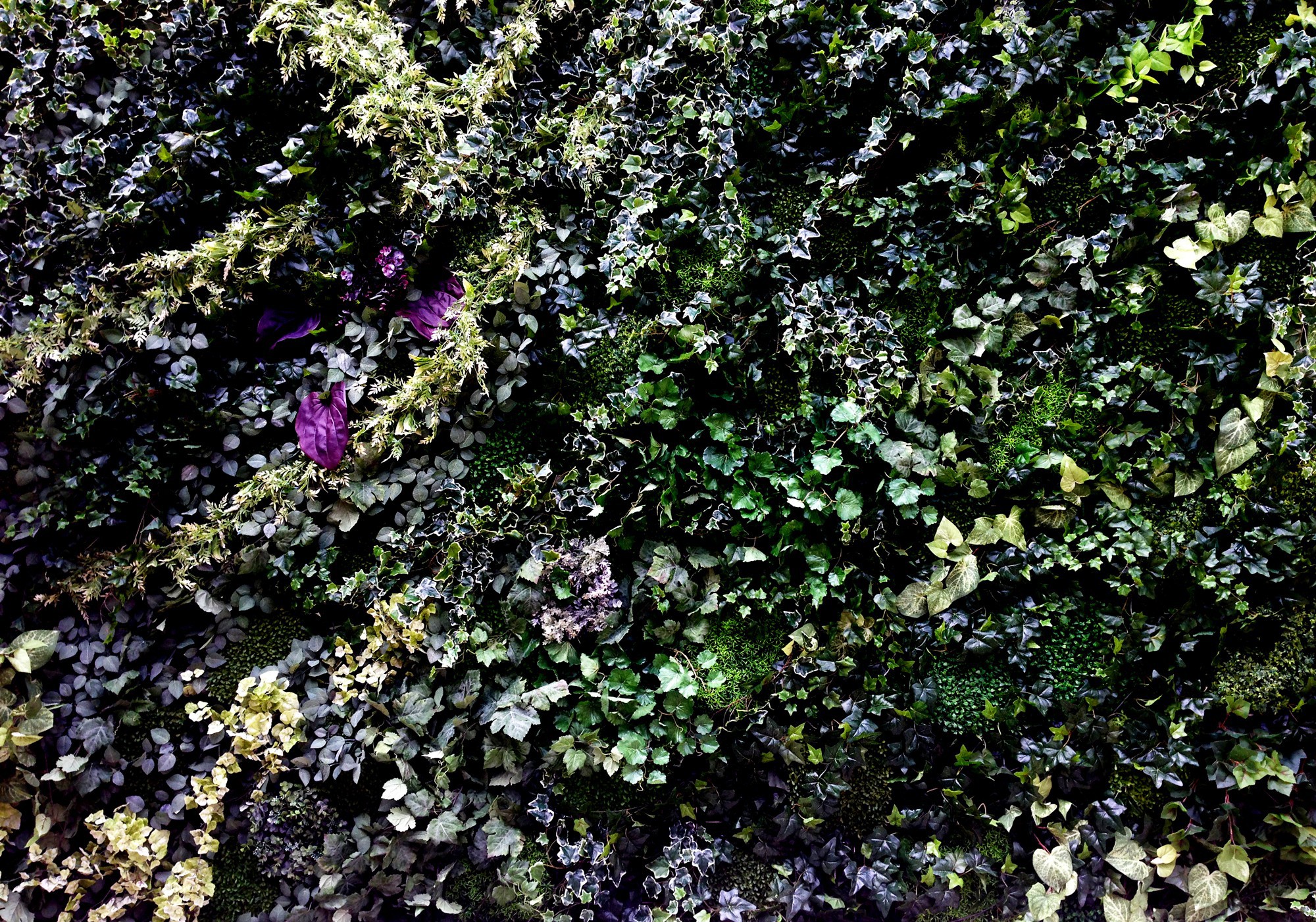 cropped-cropped-cover_s2-1-2.jpg