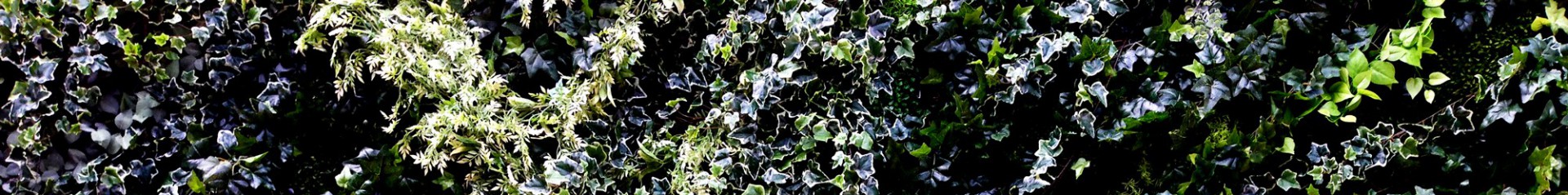 cropped-cropped-cover_s2-1-3.jpg