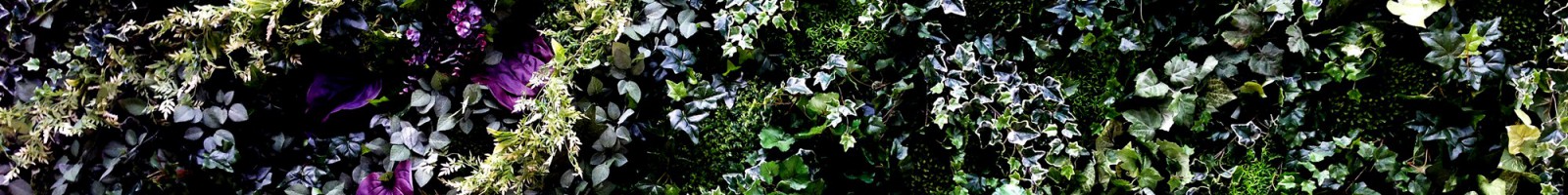 cropped-cropped-cover_s2-1.jpg