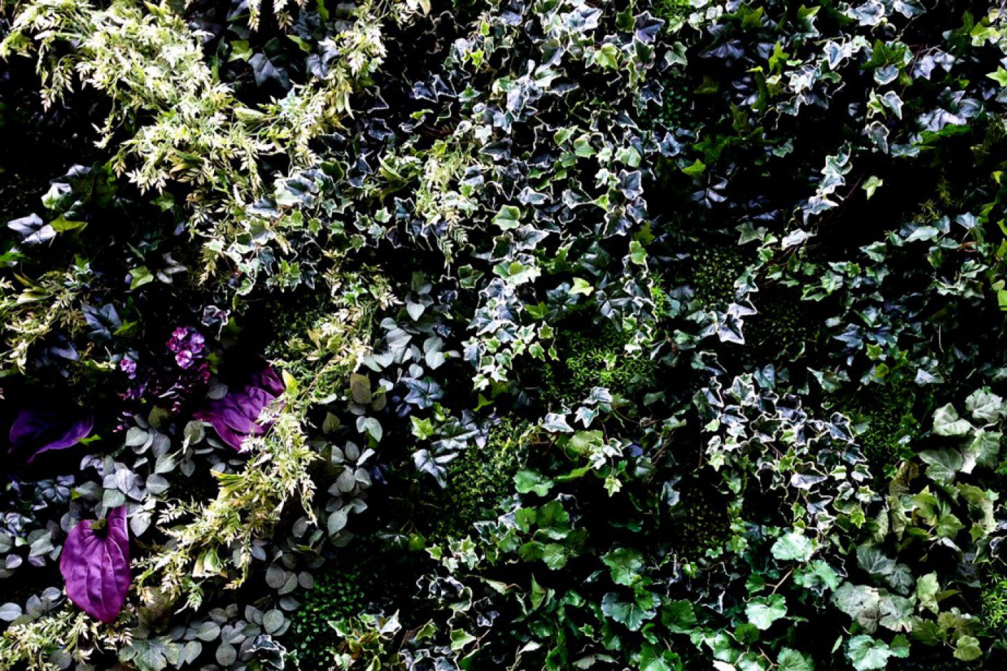 cropped-cropped-cover_s2-2.jpg