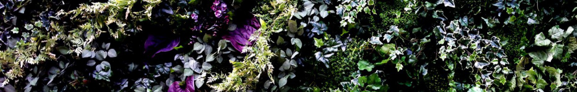 cropped-cropped-cropped-cover_s2-1.jpg